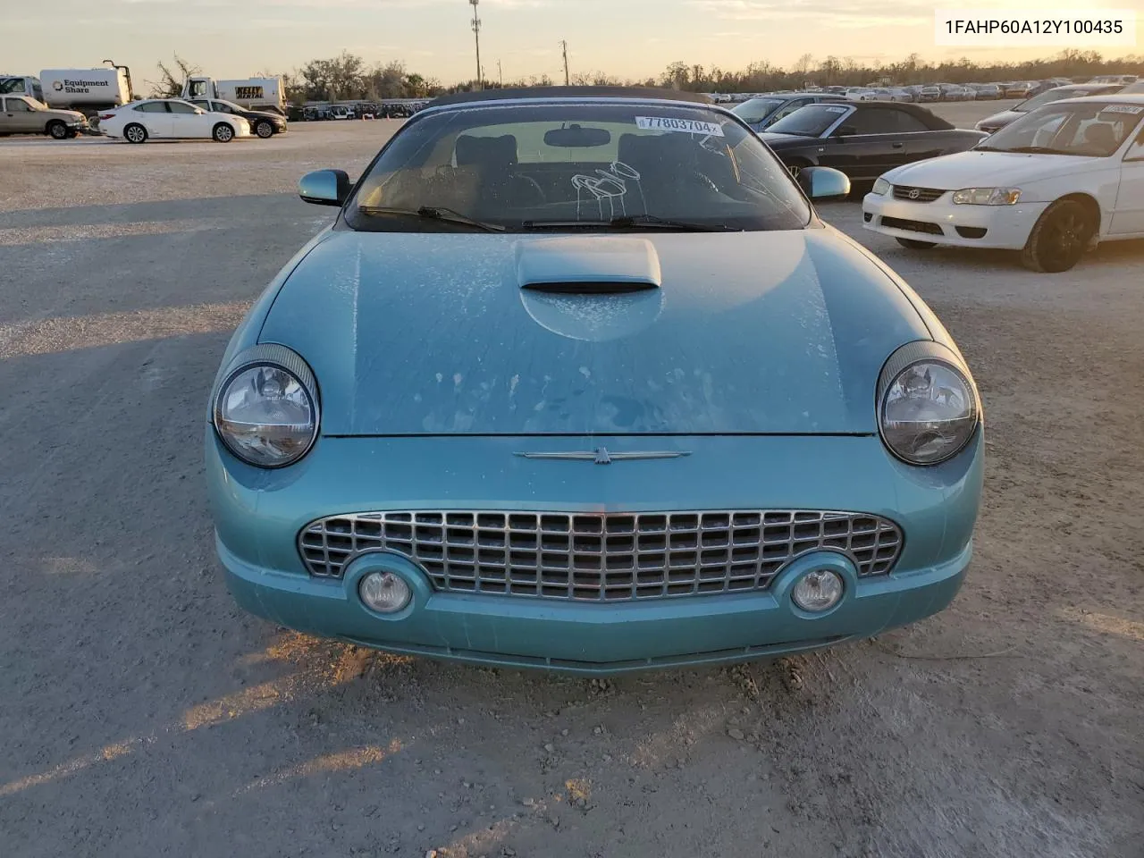 2002 Ford Thunderbird VIN: 1FAHP60A12Y100435 Lot: 77803704