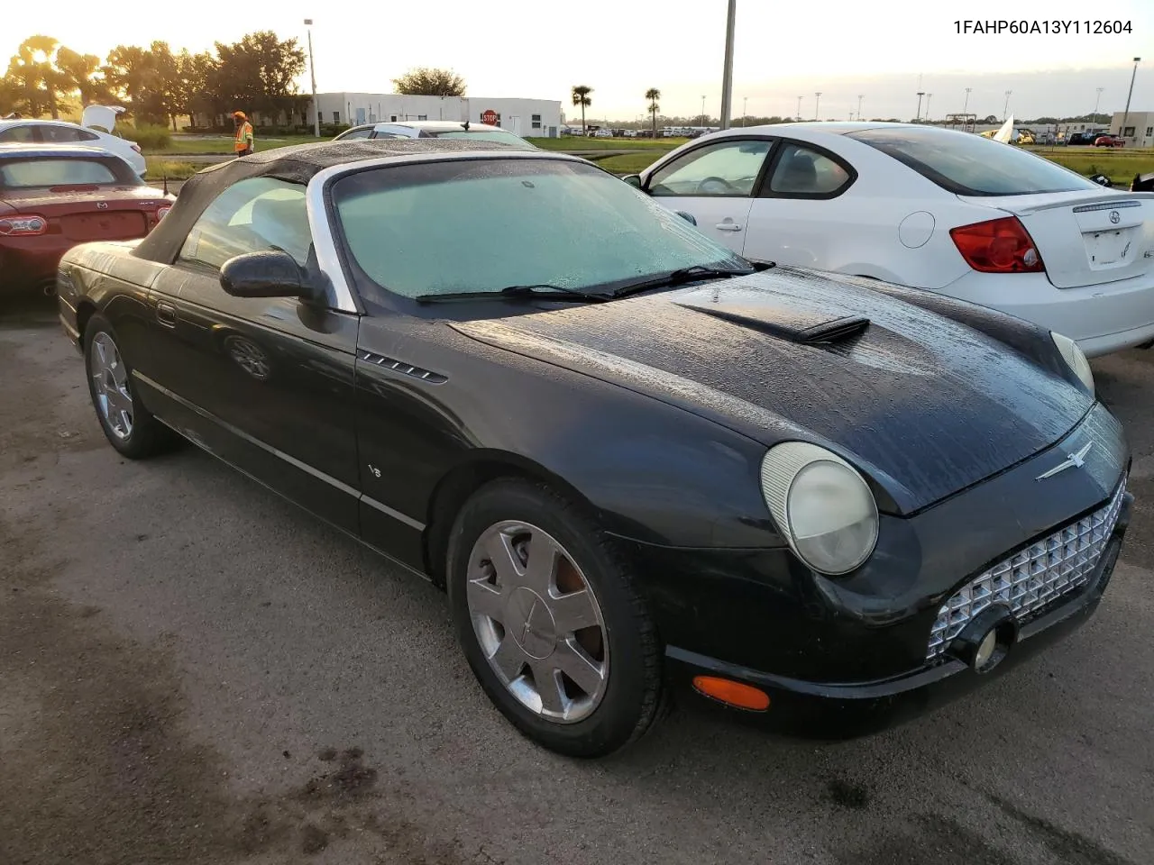 2003 Ford Thunderbird VIN: 1FAHP60A13Y112604 Lot: 74210484