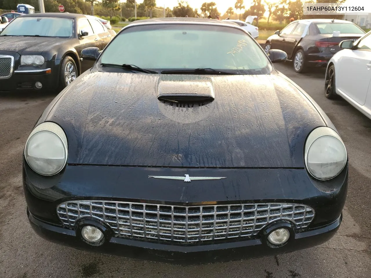 2003 Ford Thunderbird VIN: 1FAHP60A13Y112604 Lot: 74210484