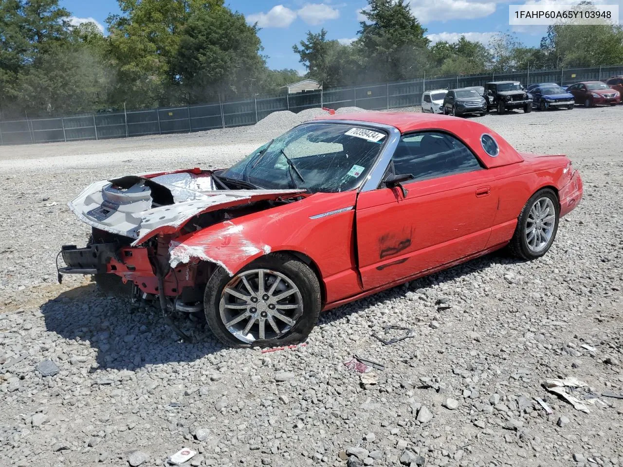 2005 Ford Thunderbird VIN: 1FAHP60A65Y103948 Lot: 70399434