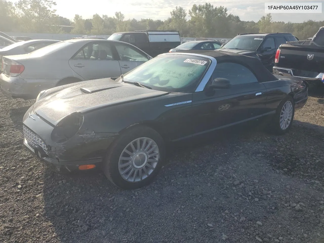 2005 Ford Thunderbird VIN: 1FAHP60A45Y103477 Lot: 71405074