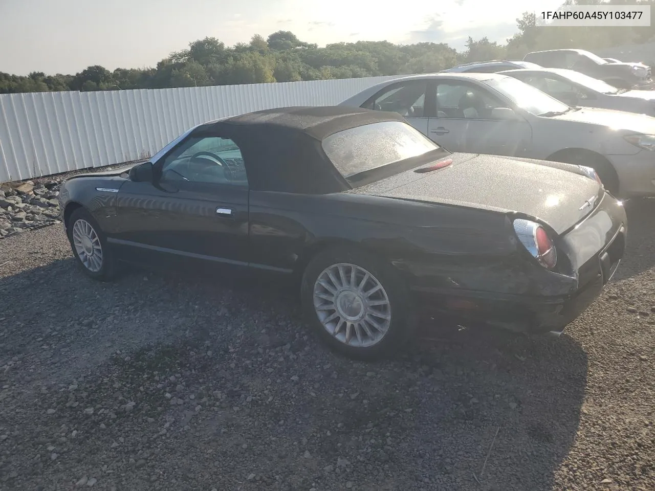 2005 Ford Thunderbird VIN: 1FAHP60A45Y103477 Lot: 71405074