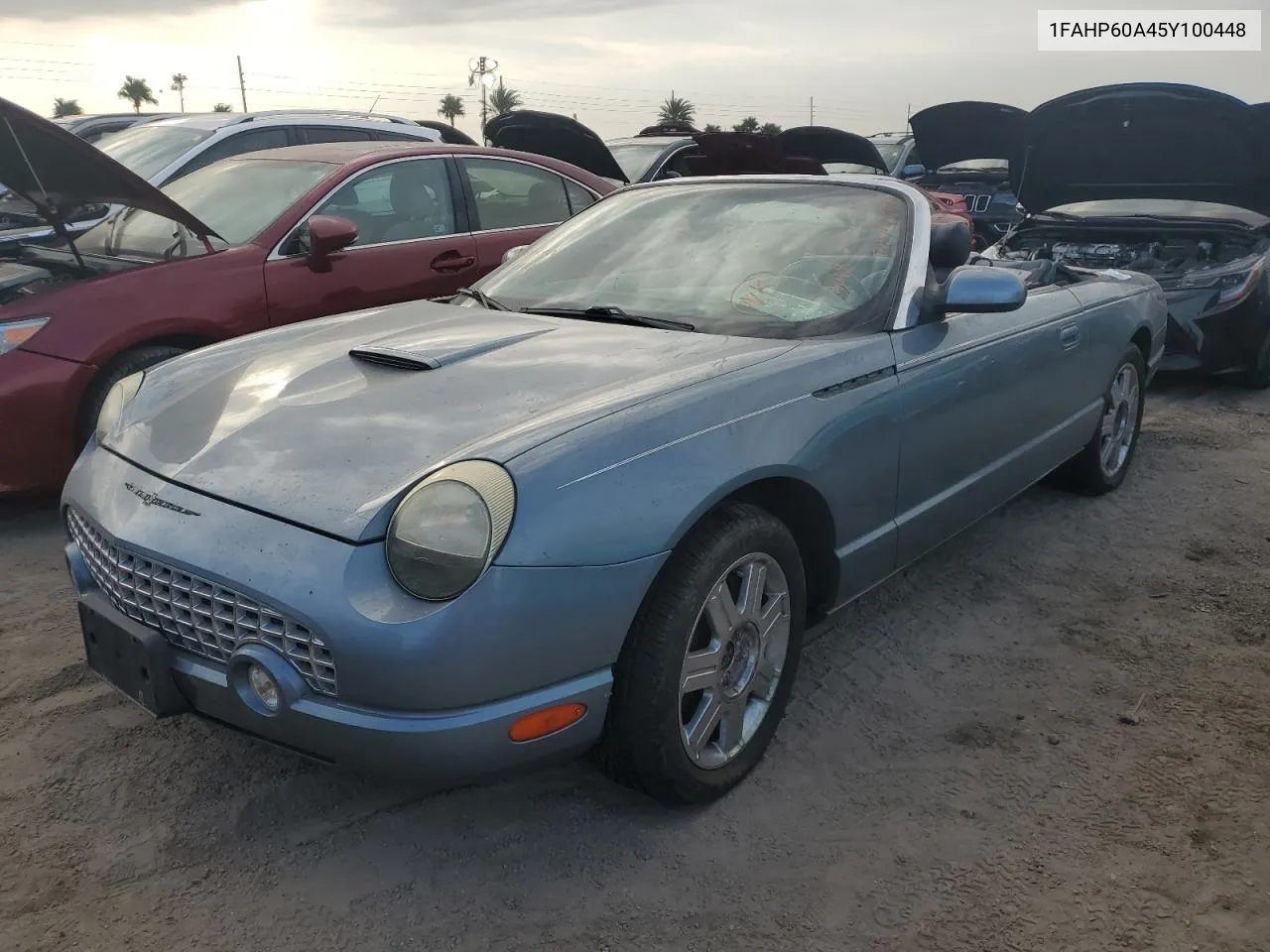 2005 Ford Thunderbird VIN: 1FAHP60A45Y100448 Lot: 74750734