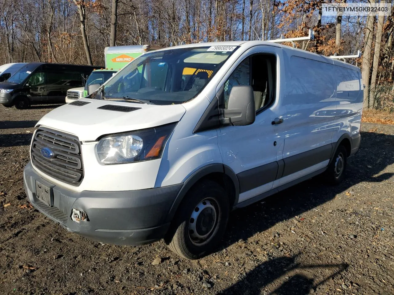 2016 Ford Transit T-150 VIN: 1FTYE1YM5GKB22403 Lot: 79865024