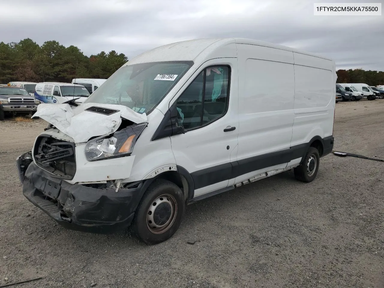 2019 Ford Transit T-250 VIN: 1FTYR2CM5KKA75500 Lot: 77867394