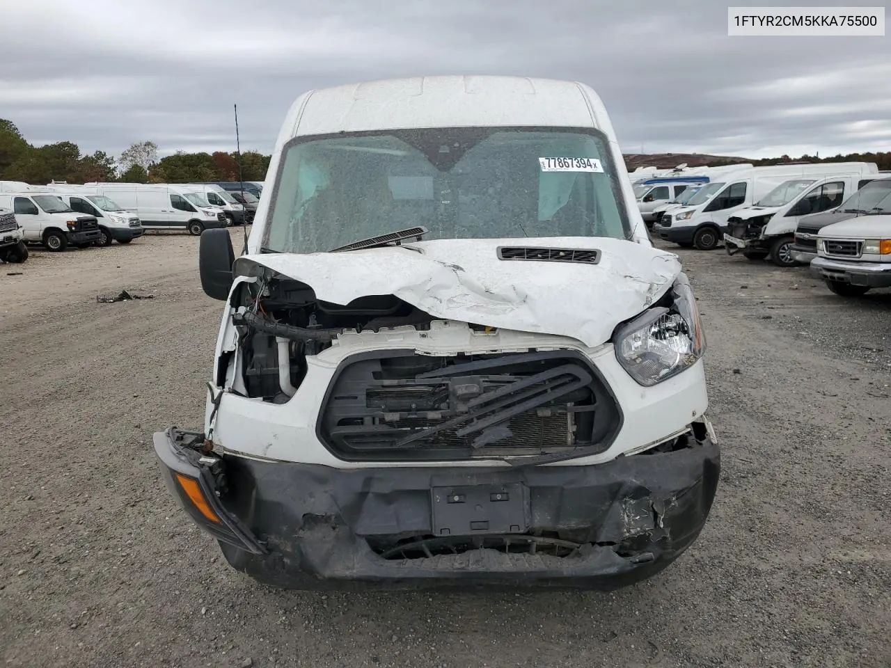 2019 Ford Transit T-250 VIN: 1FTYR2CM5KKA75500 Lot: 77867394