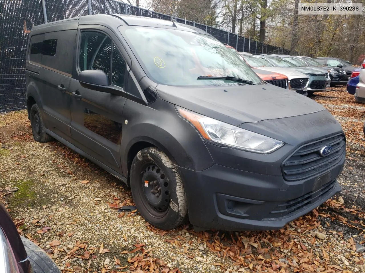 2019 Ford Transit Connect Xl VIN: NM0LS7E21K1390238 Lot: 79385994