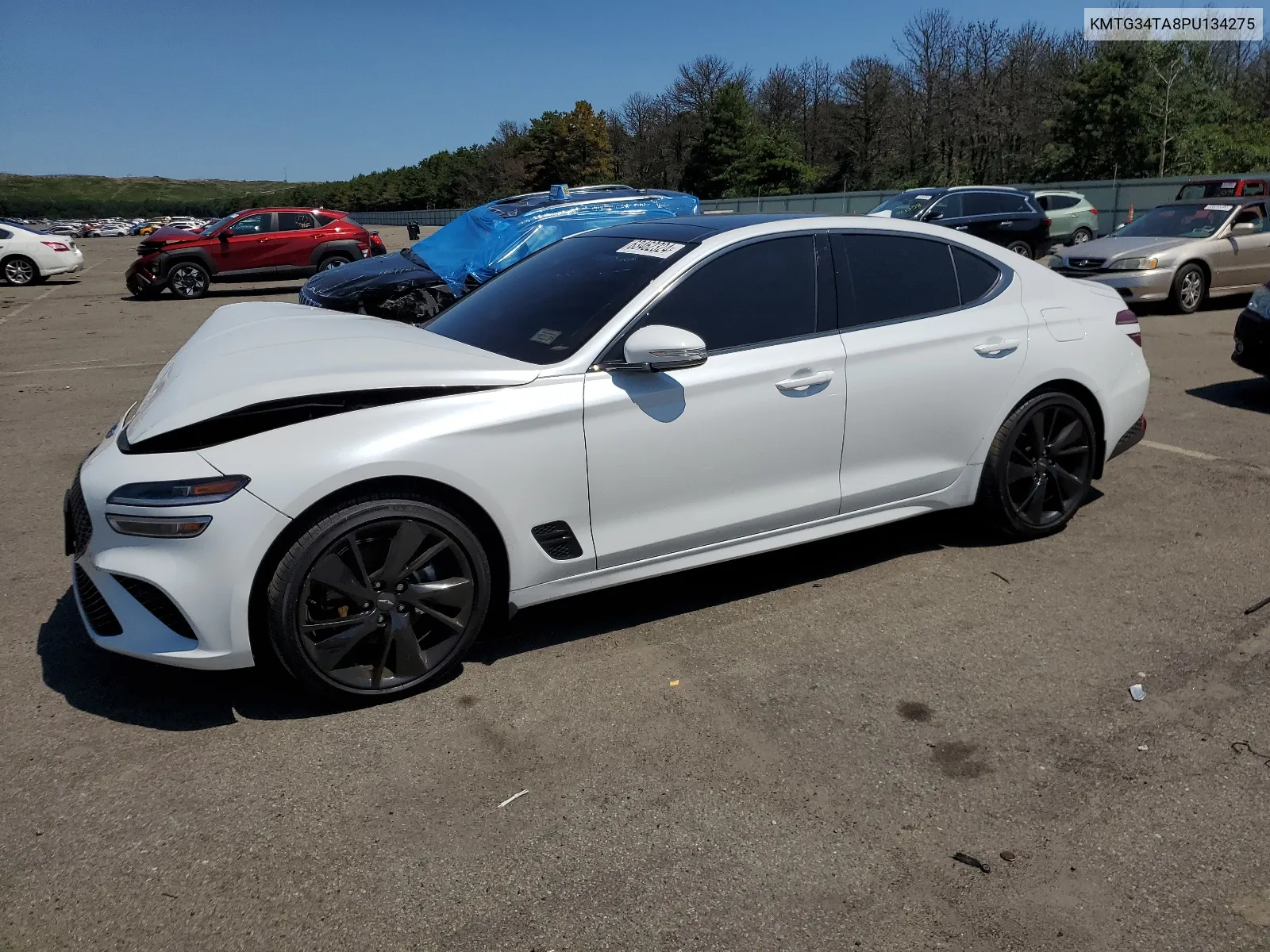 2023 Genesis G70 Base VIN: KMTG34TA8PU134275 Lot: 63462324