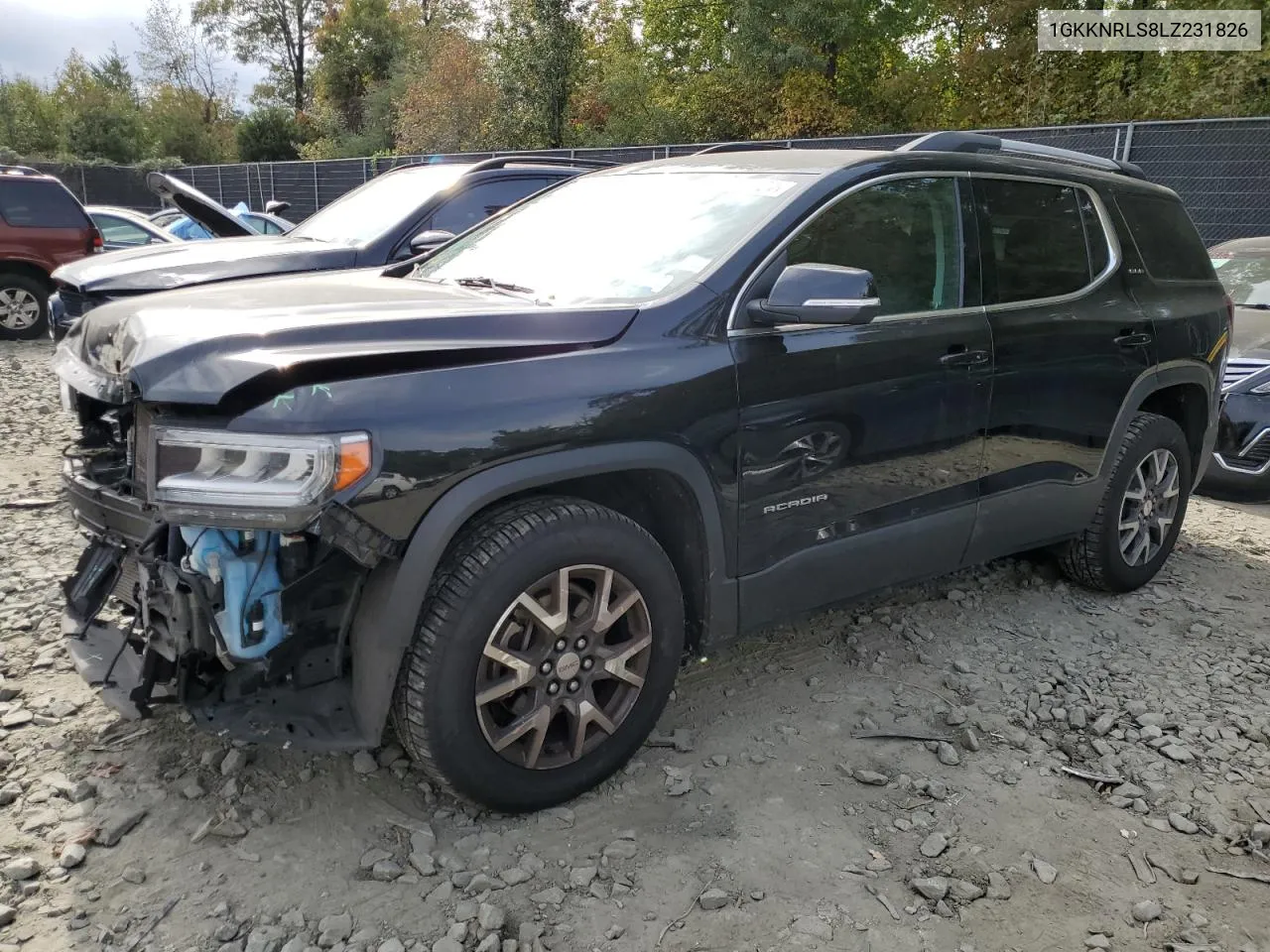 2020 GMC Acadia Sle VIN: 1GKKNRLS8LZ231826 Lot: 76118624