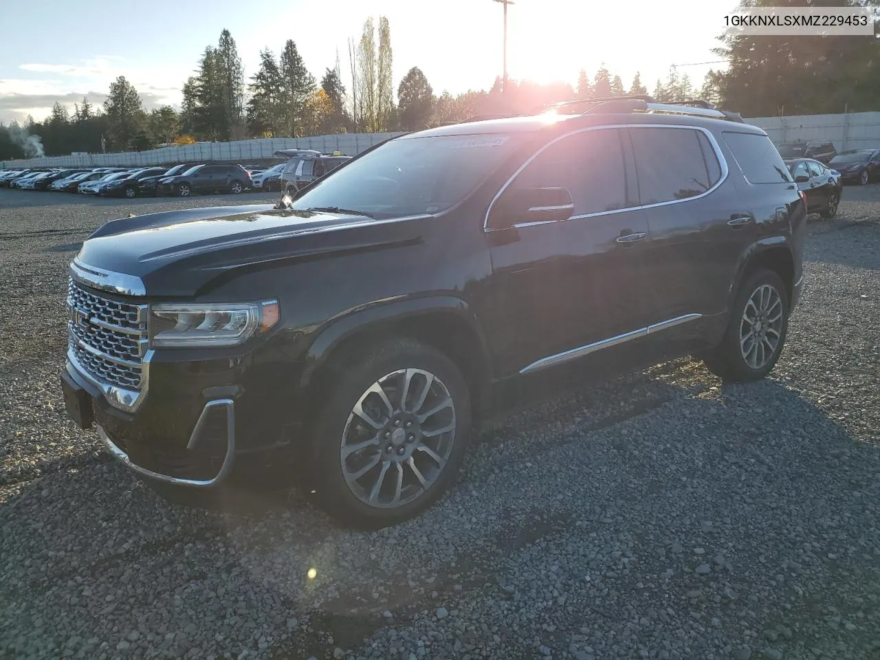 2021 GMC Acadia Denali VIN: 1GKKNXLSXMZ229453 Lot: 81005644