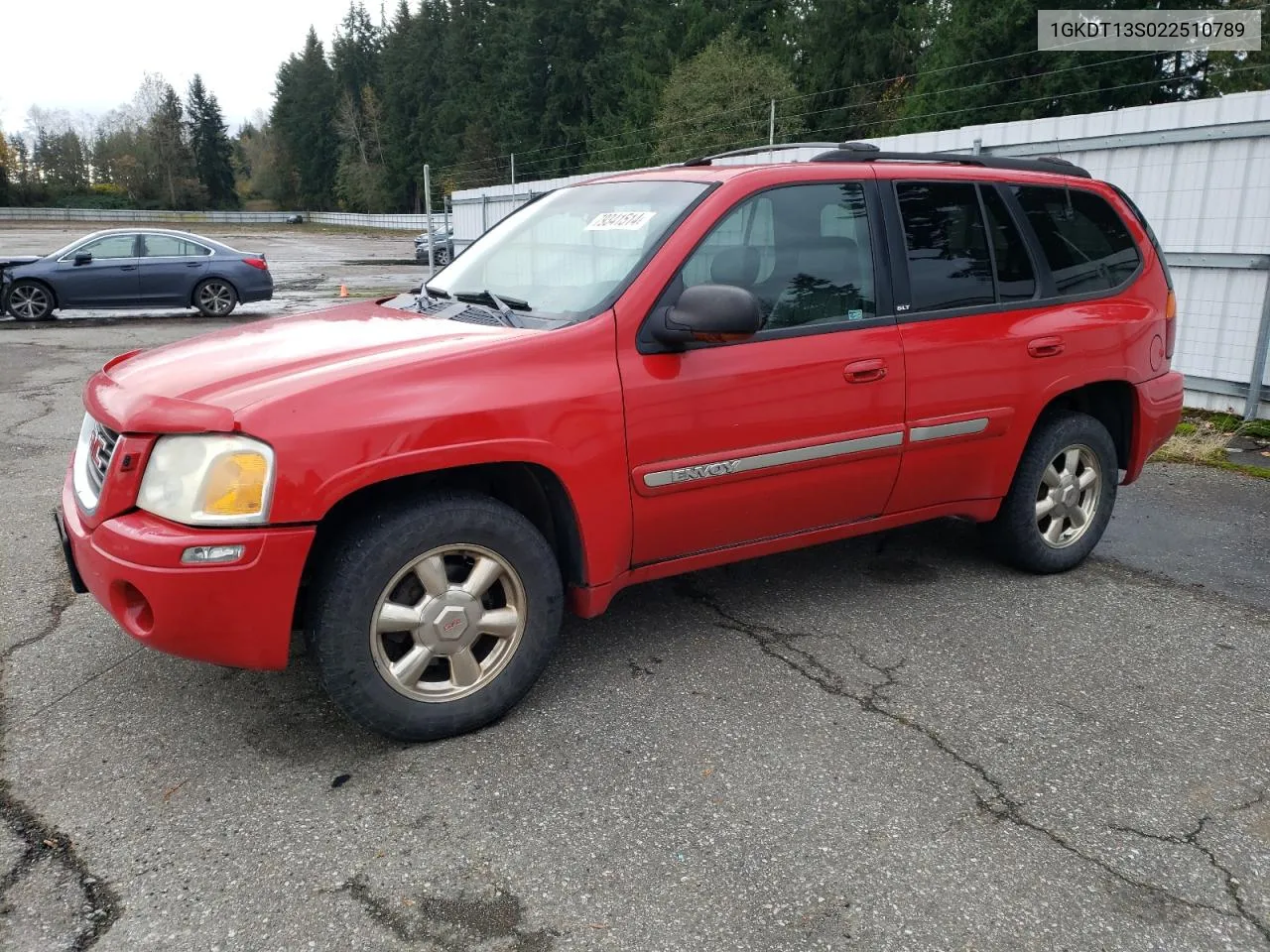 2002 GMC Envoy VIN: 1GKDT13S022510789 Lot: 79341514