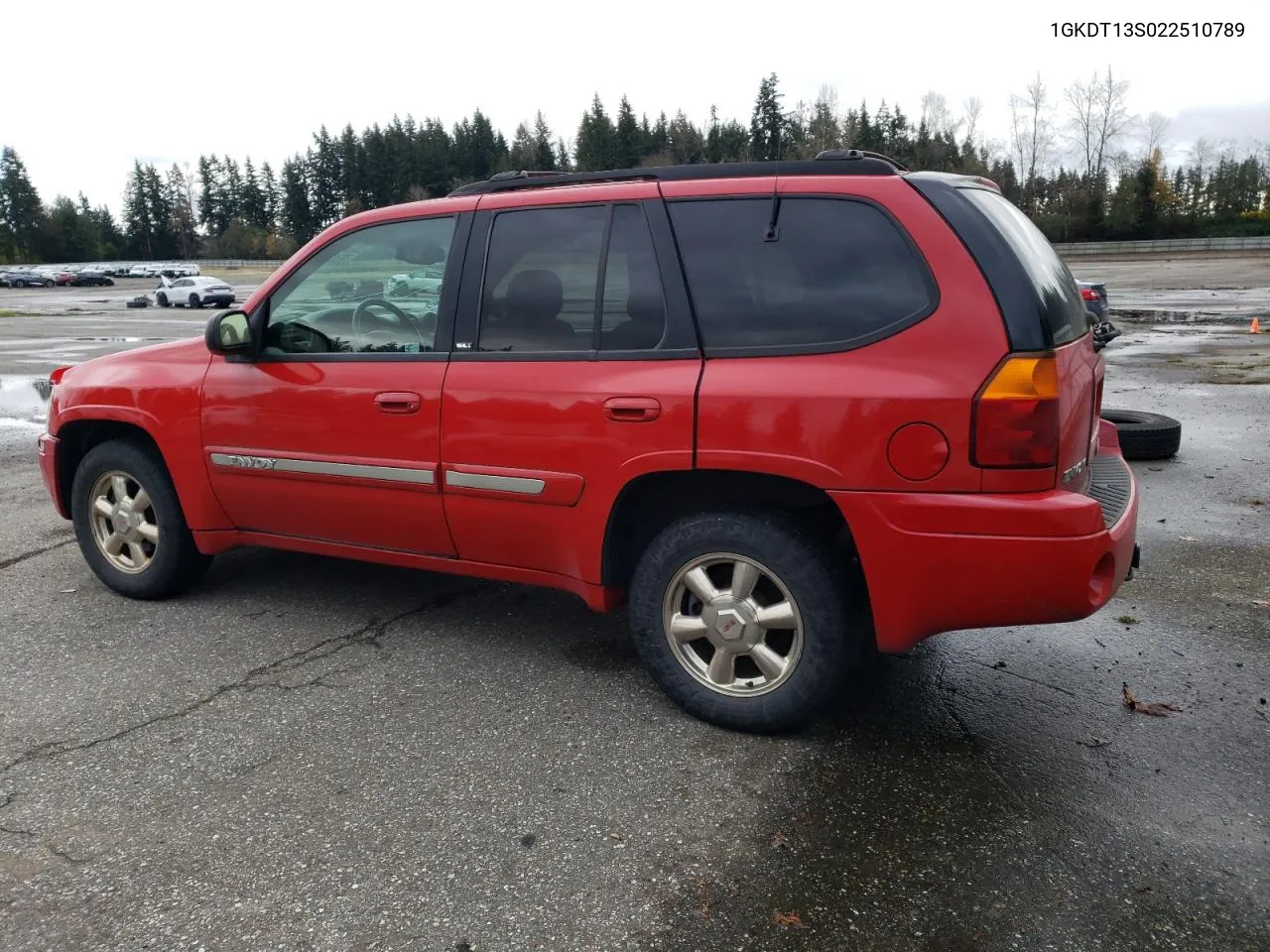 2002 GMC Envoy VIN: 1GKDT13S022510789 Lot: 79341514