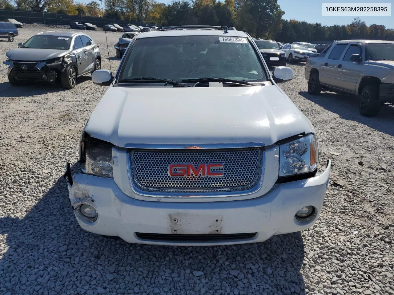 2008 GMC Envoy Denali VIN: 1GKES63M282258395 Lot: 76067304