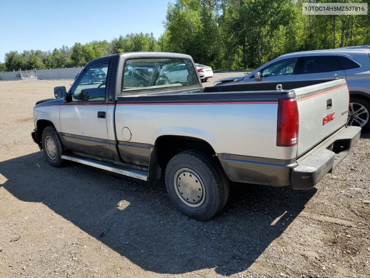 1991 GMC Sierra C1500 VIN: 1GTDC14H5MZ507816 Lot: 65206254