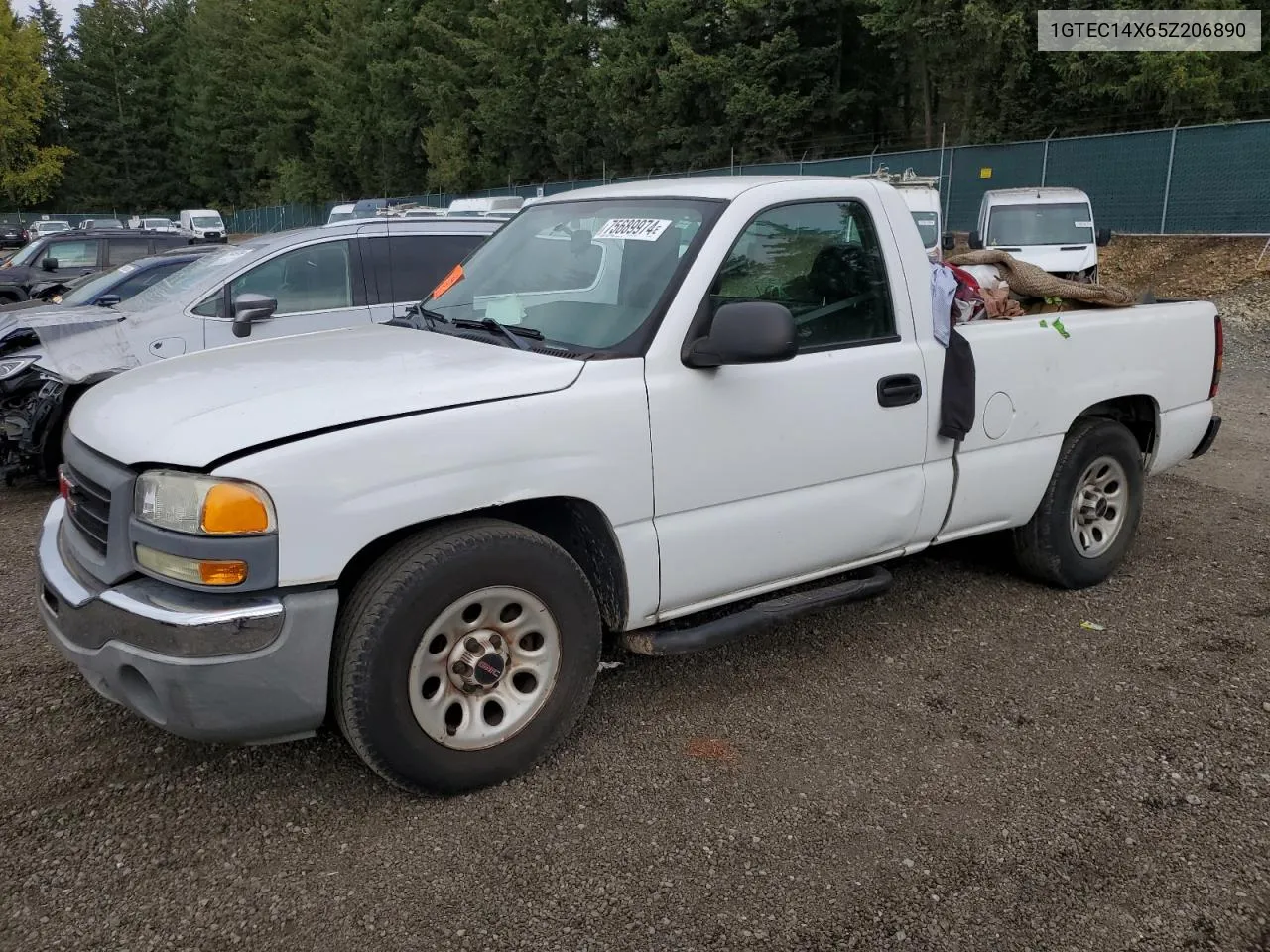 2005 GMC New Sierra C1500 VIN: 1GTEC14X65Z206890 Lot: 75689974