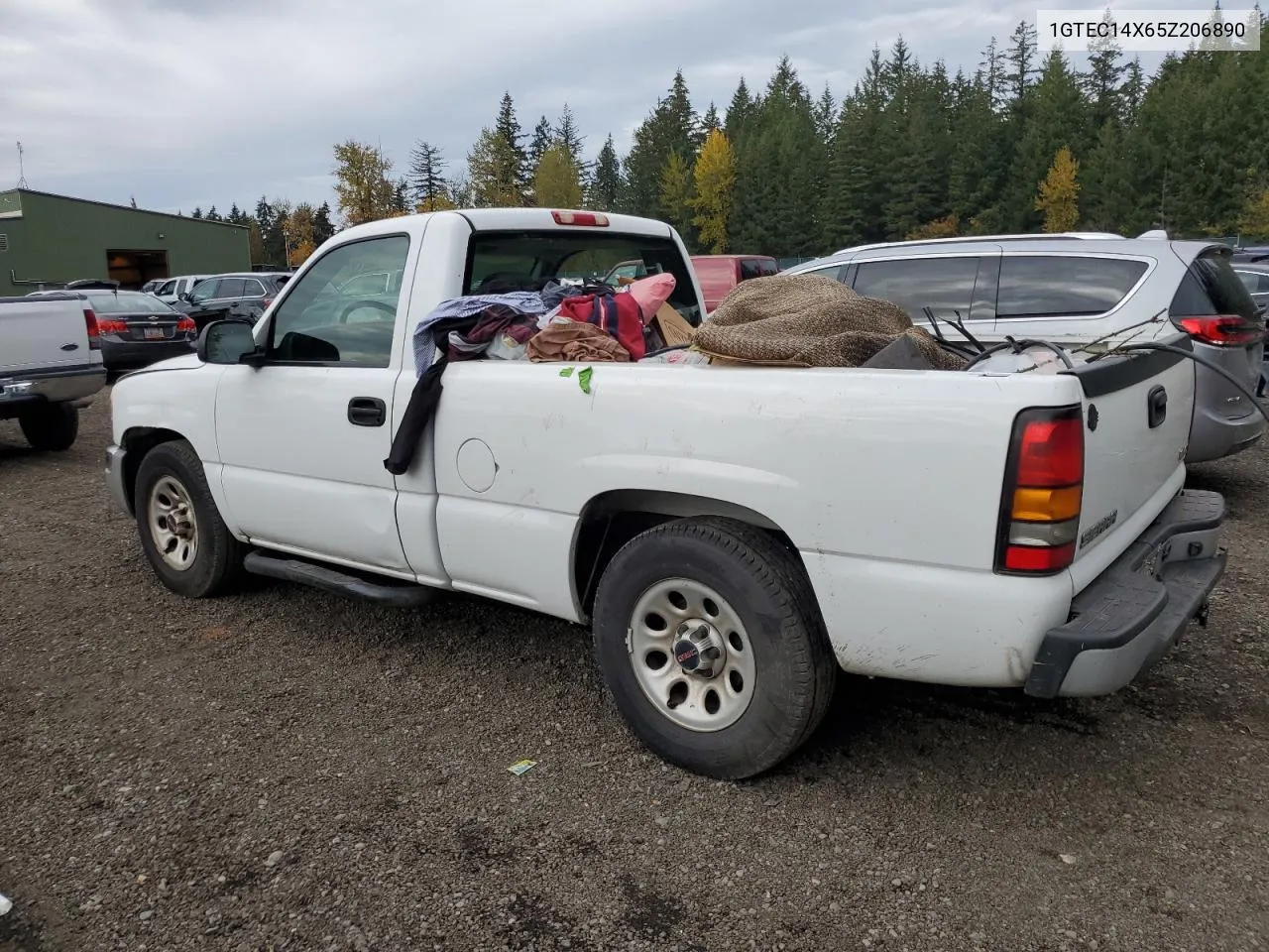 2005 GMC New Sierra C1500 VIN: 1GTEC14X65Z206890 Lot: 75689974