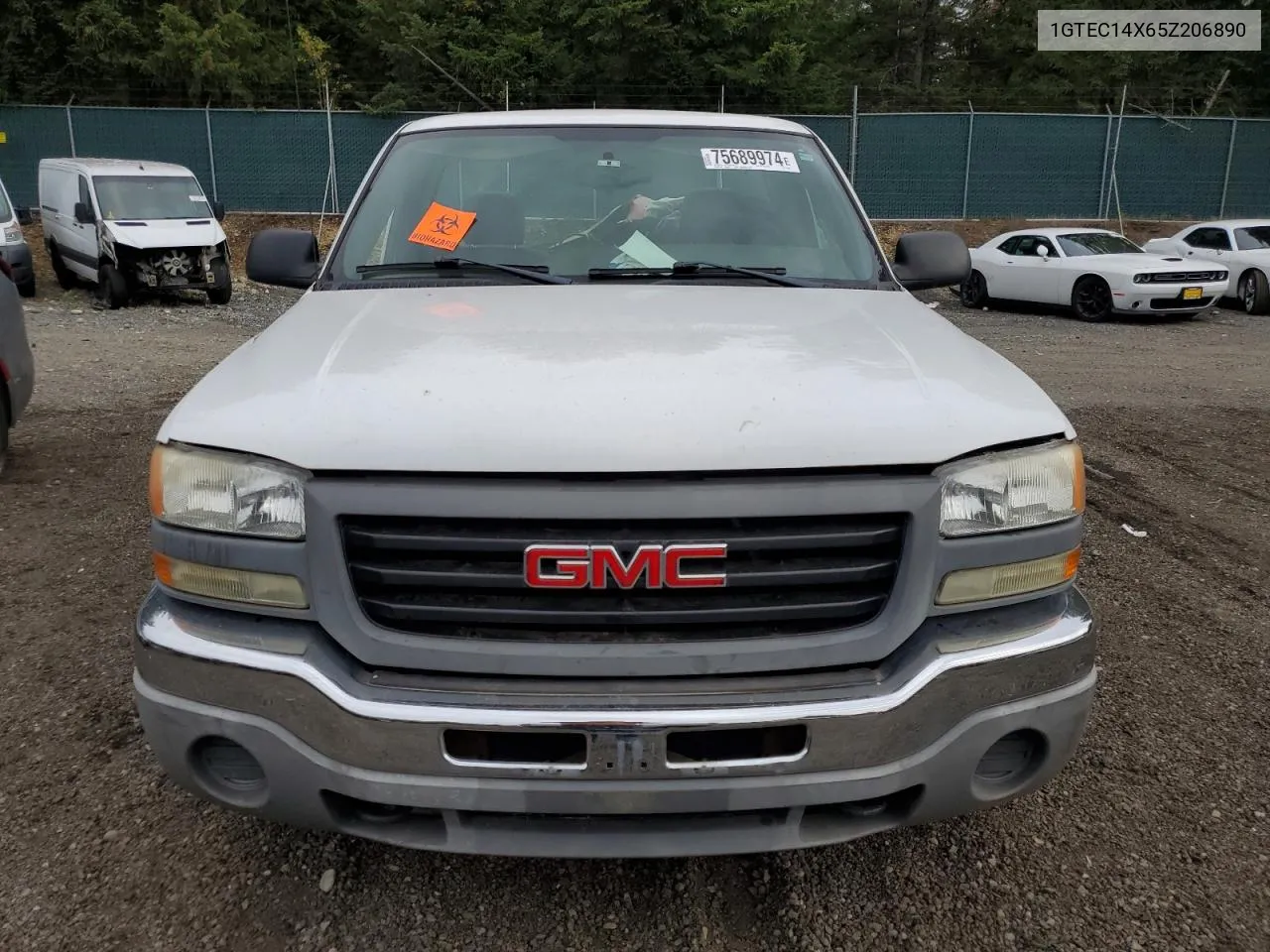 2005 GMC New Sierra C1500 VIN: 1GTEC14X65Z206890 Lot: 75689974