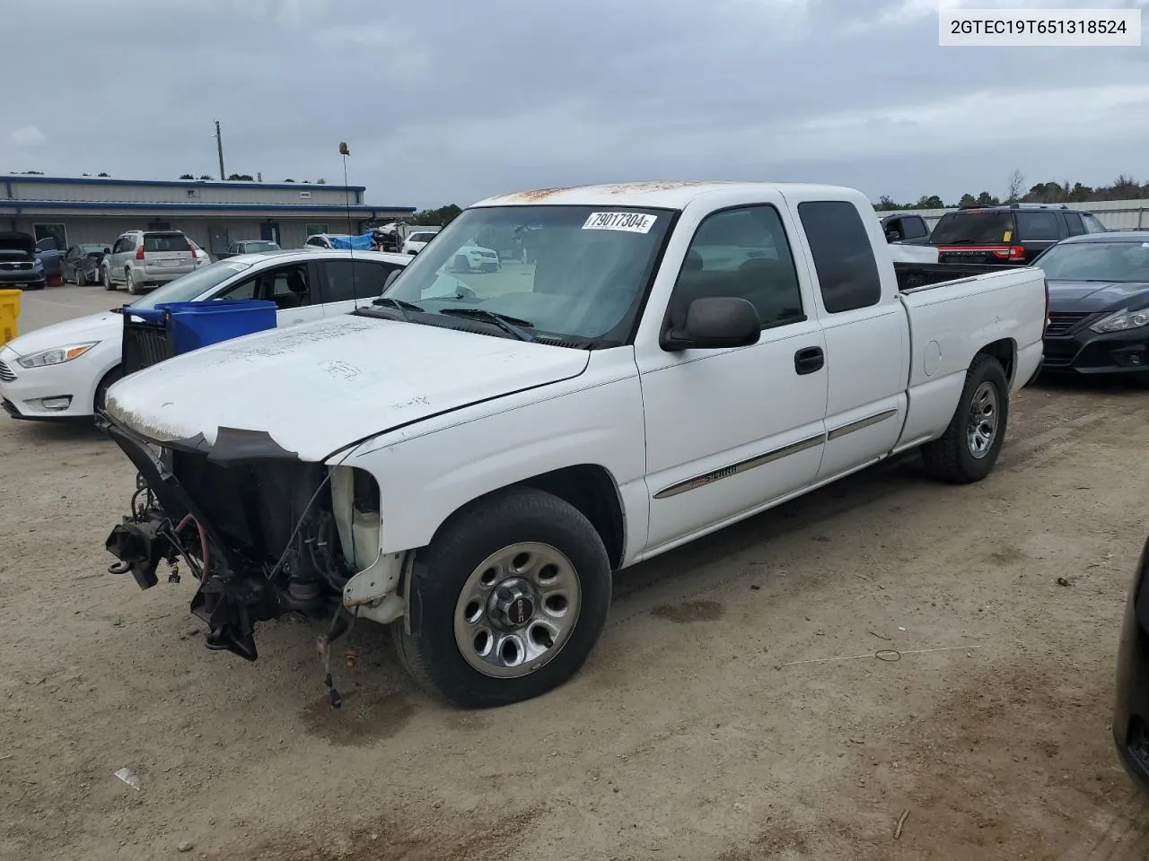 2005 GMC New Sierra C1500 VIN: 2GTEC19T651318524 Lot: 79017304