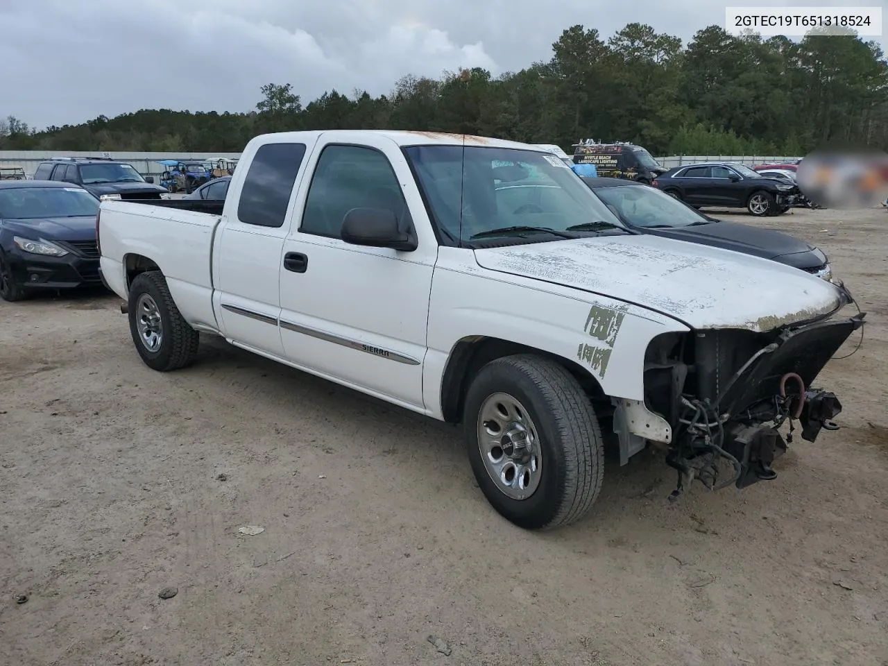 2005 GMC New Sierra C1500 VIN: 2GTEC19T651318524 Lot: 79017304