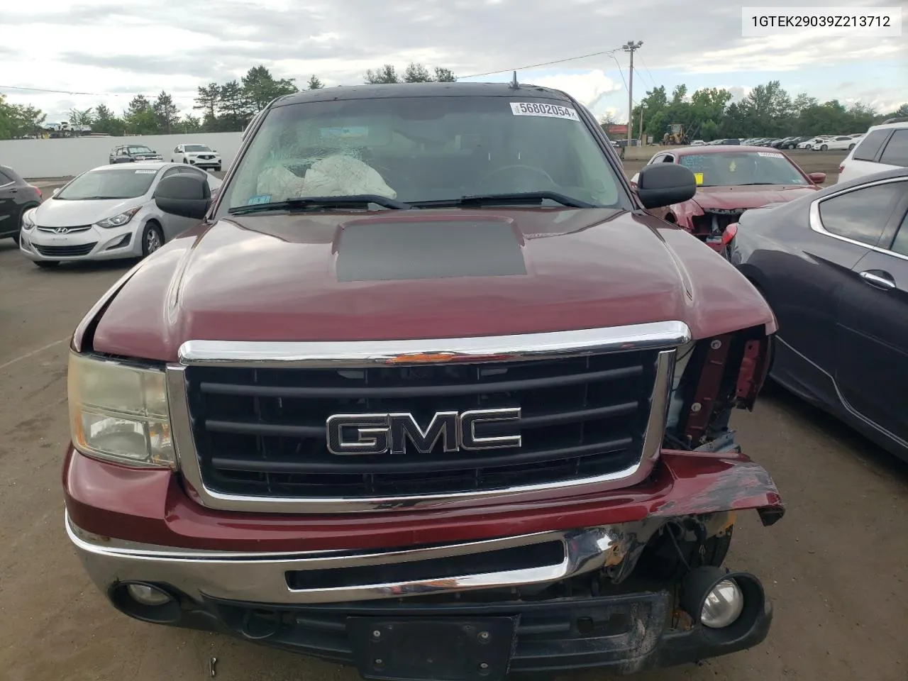 2009 GMC Sierra K1500 Sle VIN: 1GTEK29039Z213712 Lot: 56802054