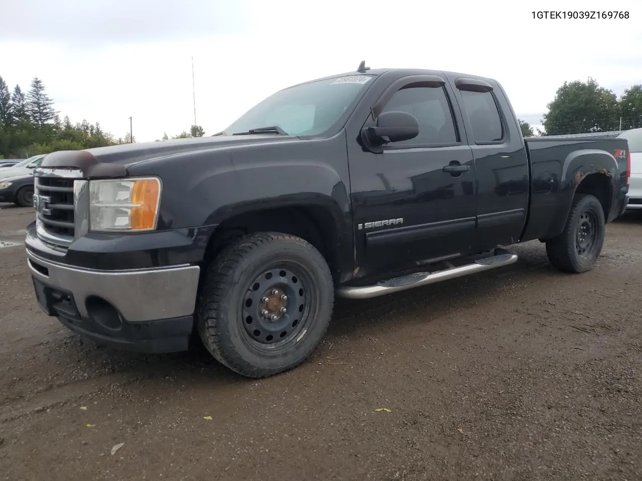 2009 GMC Sierra K1500 VIN: 1GTEK19039Z169768 Lot: 72981374