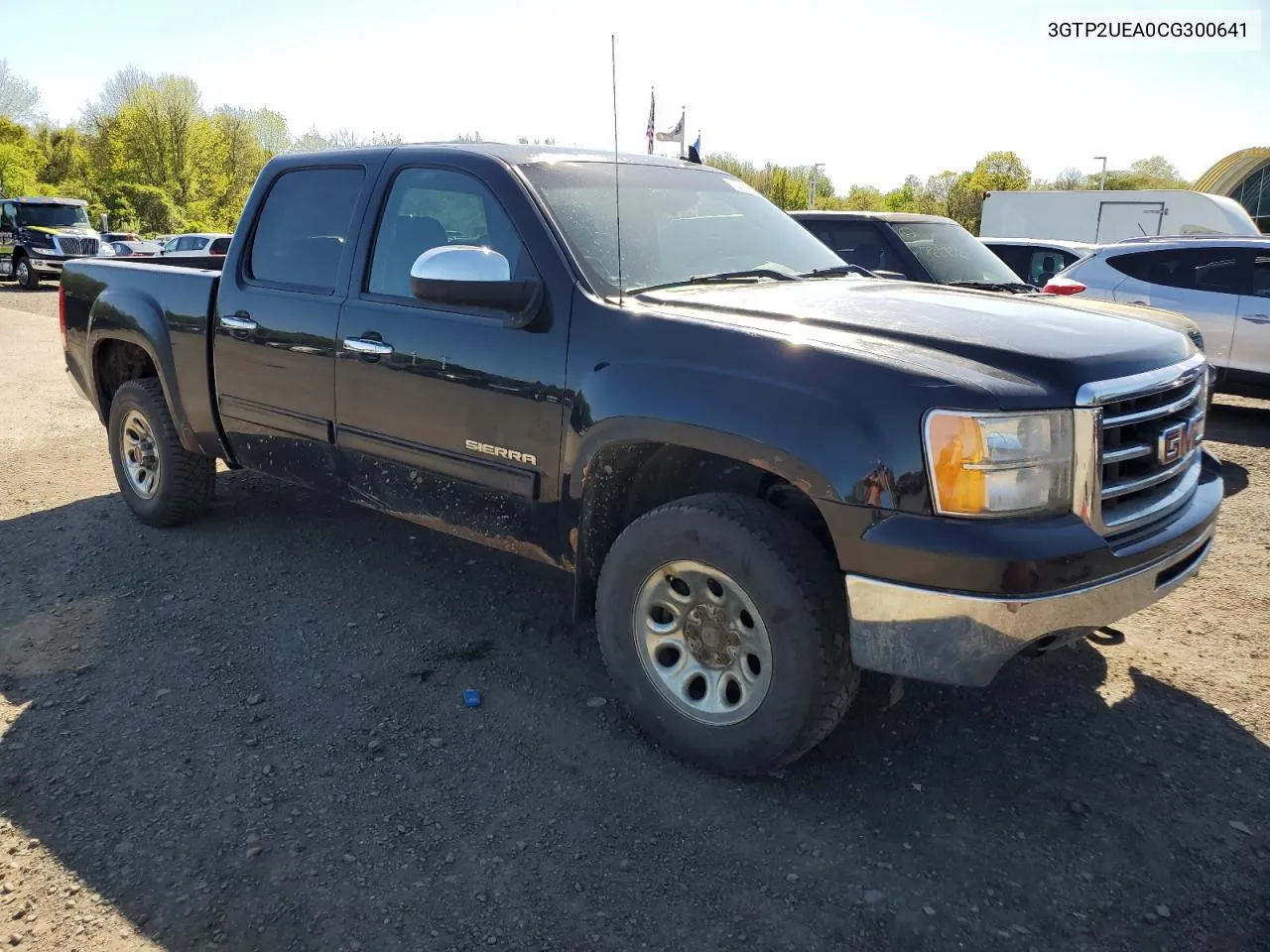 2012 GMC Sierra K1500 Sl VIN: 3GTP2UEA0CG300641 Lot: 54133654