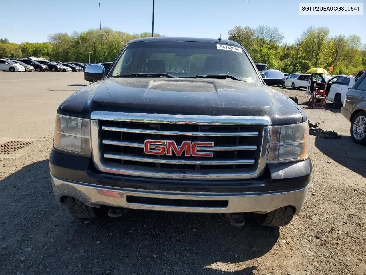 2012 GMC Sierra K1500 Sl VIN: 3GTP2UEA0CG300641 Lot: 54133654