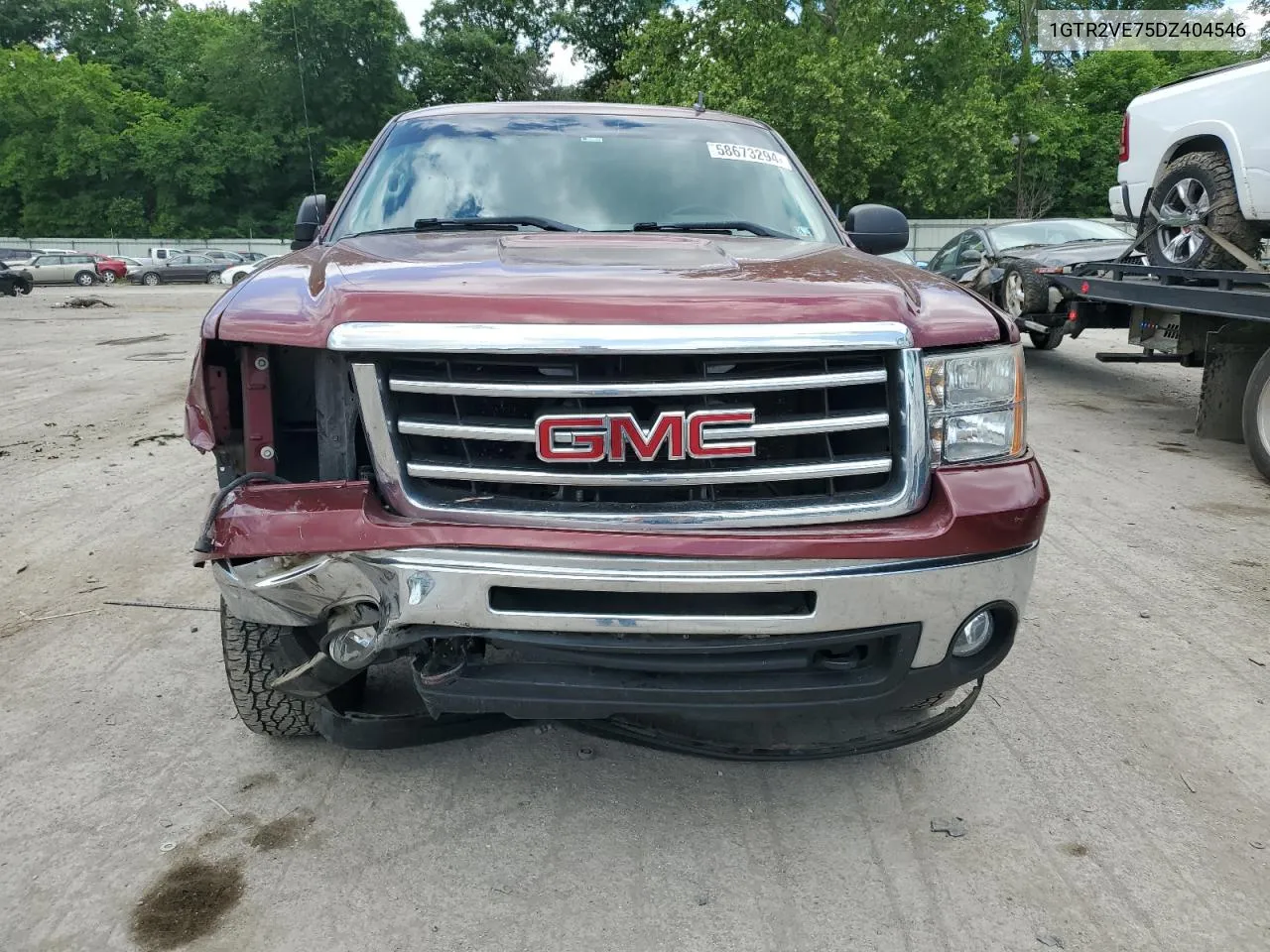 2013 GMC Sierra K1500 Sle VIN: 1GTR2VE75DZ404546 Lot: 58673294