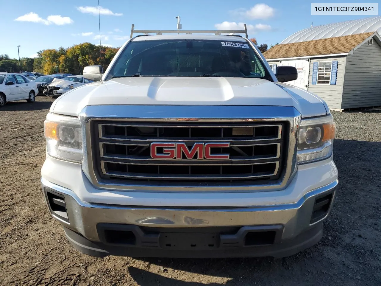 2015 GMC Sierra C1500 VIN: 1GTN1TEC3FZ904341 Lot: 75668184