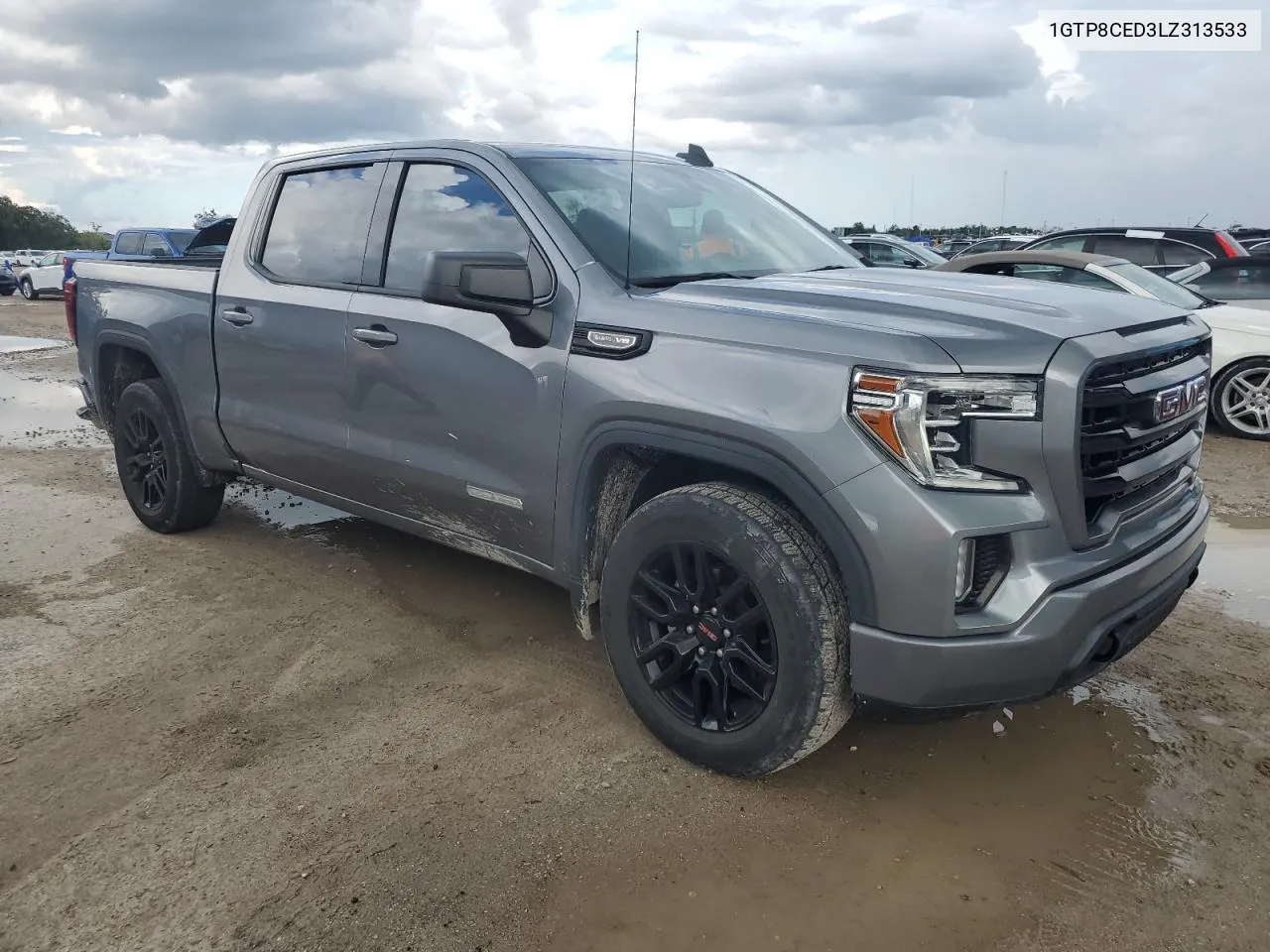 2020 GMC Sierra C1500 Elevation VIN: 1GTP8CED3LZ313533 Lot: 73998904