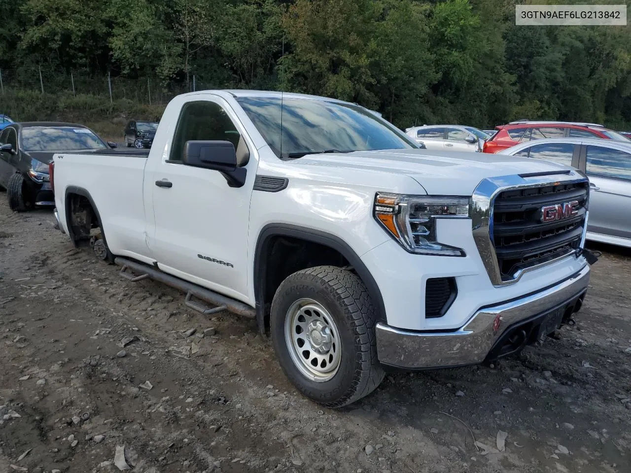 2020 GMC Sierra K1500 VIN: 3GTN9AEF6LG213842 Lot: 74127224