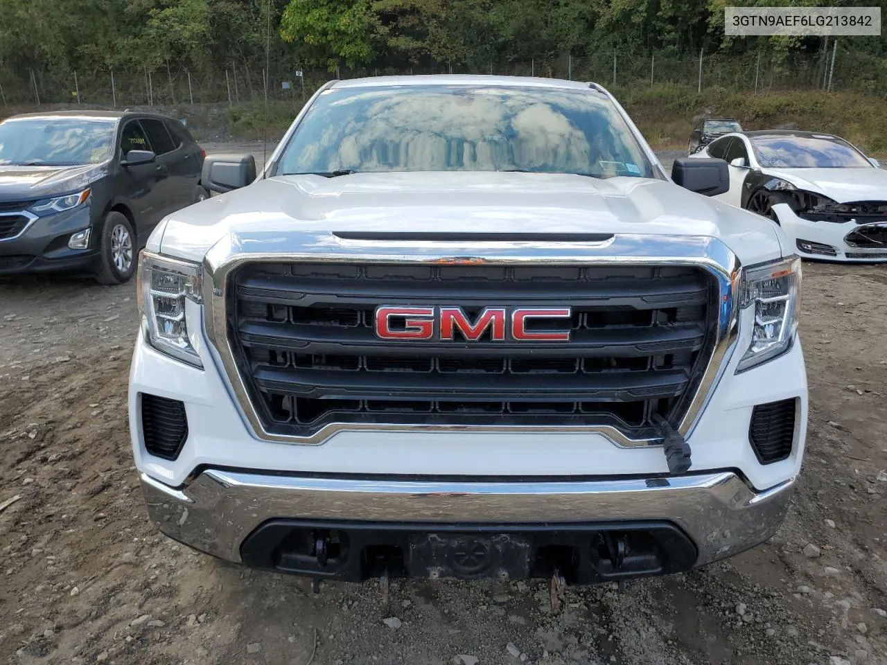 2020 GMC Sierra K1500 VIN: 3GTN9AEF6LG213842 Lot: 74127224