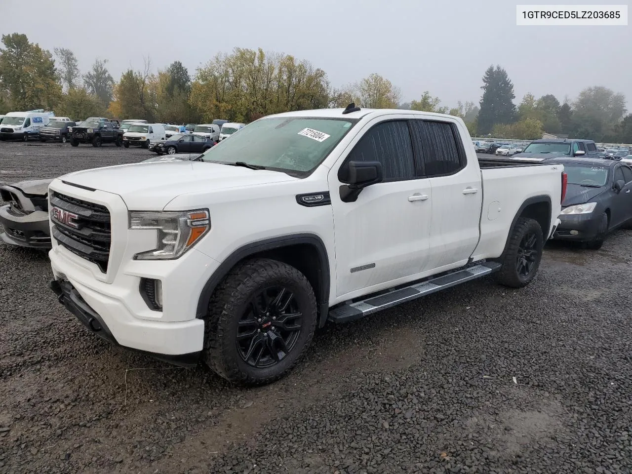 2020 GMC Sierra K1500 Elevation VIN: 1GTR9CED5LZ203685 Lot: 77215004