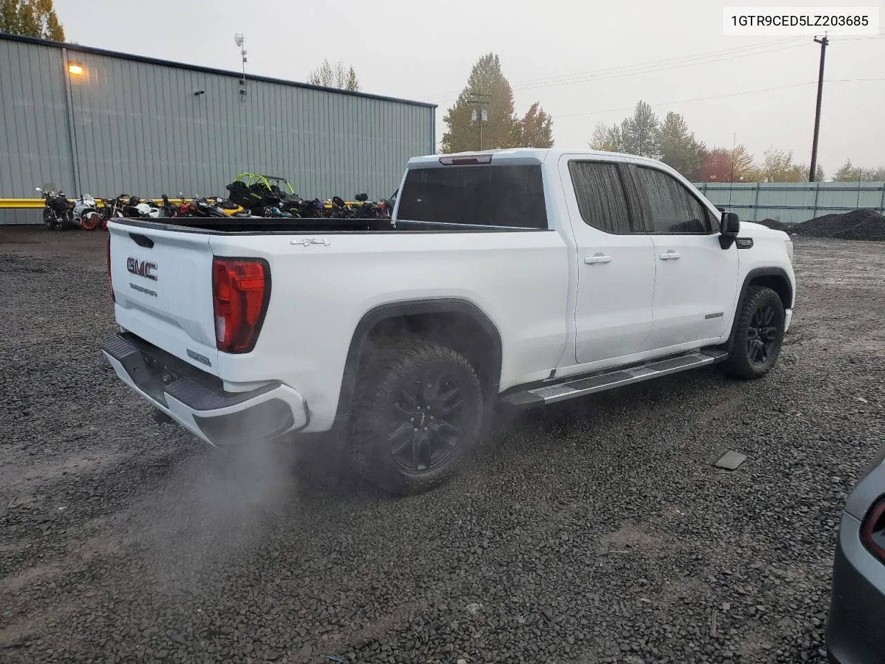 2020 GMC Sierra K1500 Elevation VIN: 1GTR9CED5LZ203685 Lot: 77215004