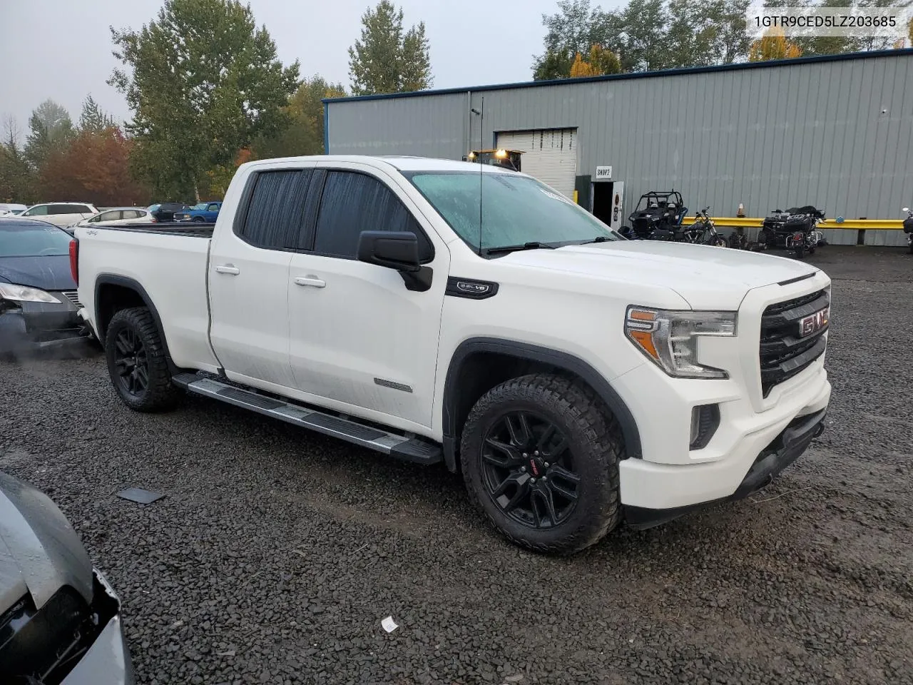 2020 GMC Sierra K1500 Elevation VIN: 1GTR9CED5LZ203685 Lot: 77215004