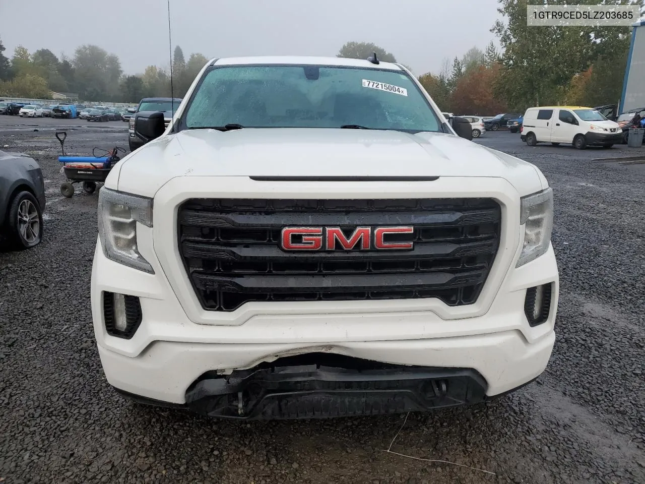 2020 GMC Sierra K1500 Elevation VIN: 1GTR9CED5LZ203685 Lot: 77215004