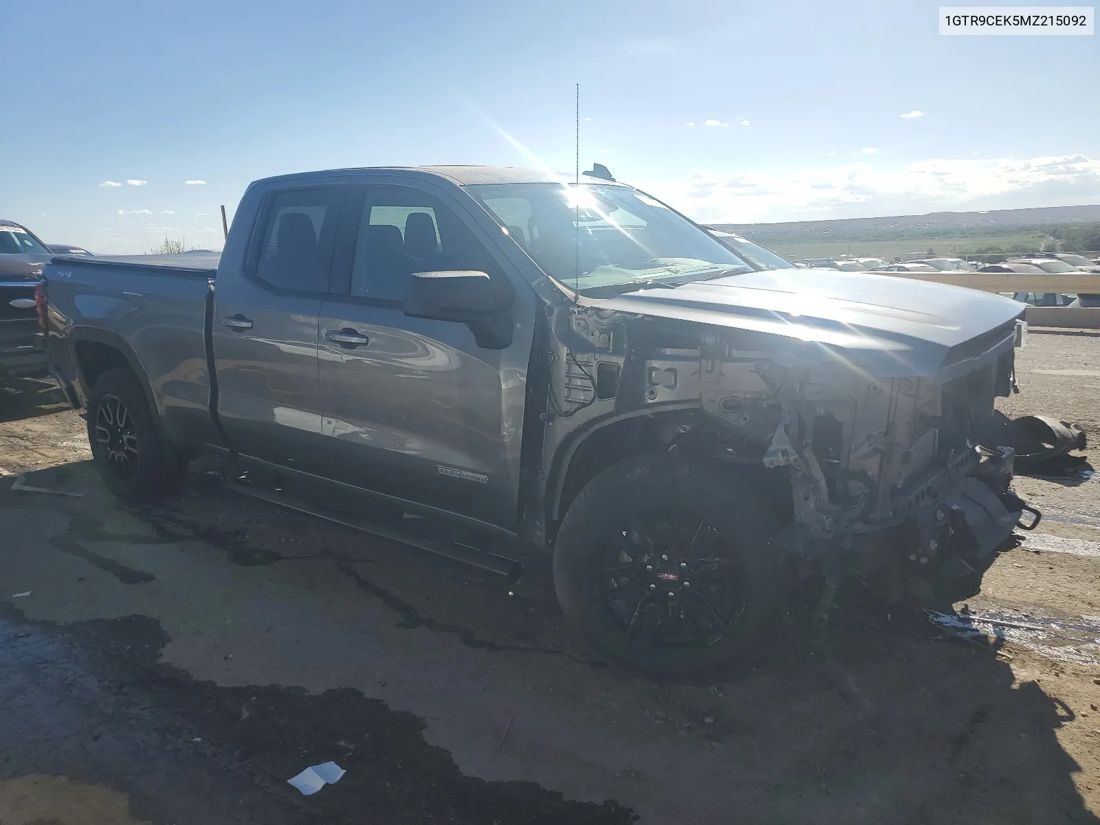 2021 GMC Sierra K1500 Elevation VIN: 1GTR9CEK5MZ215092 Lot: 67414574