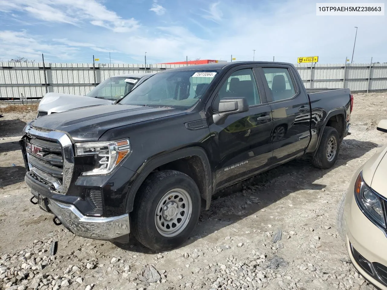 2021 GMC Sierra K1500 VIN: 1GTP9AEH5MZ238663 Lot: 75015564