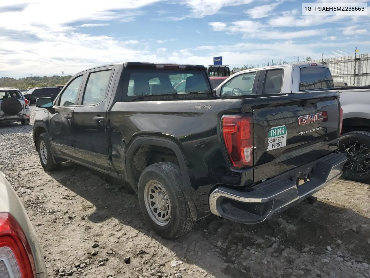 2021 GMC Sierra K1500 VIN: 1GTP9AEH5MZ238663 Lot: 75015564