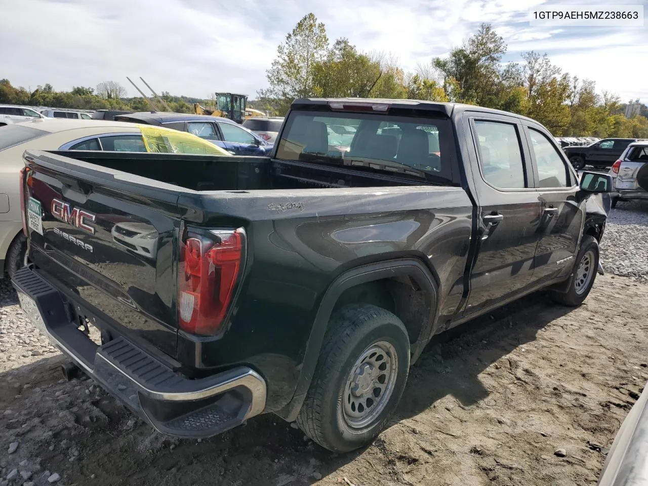 2021 GMC Sierra K1500 VIN: 1GTP9AEH5MZ238663 Lot: 75015564