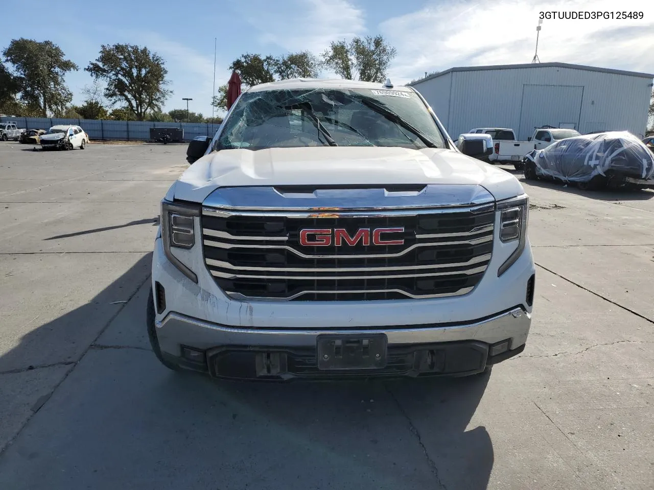 2023 GMC Sierra K1500 Slt VIN: 3GTUUDED3PG125489 Lot: 76909924