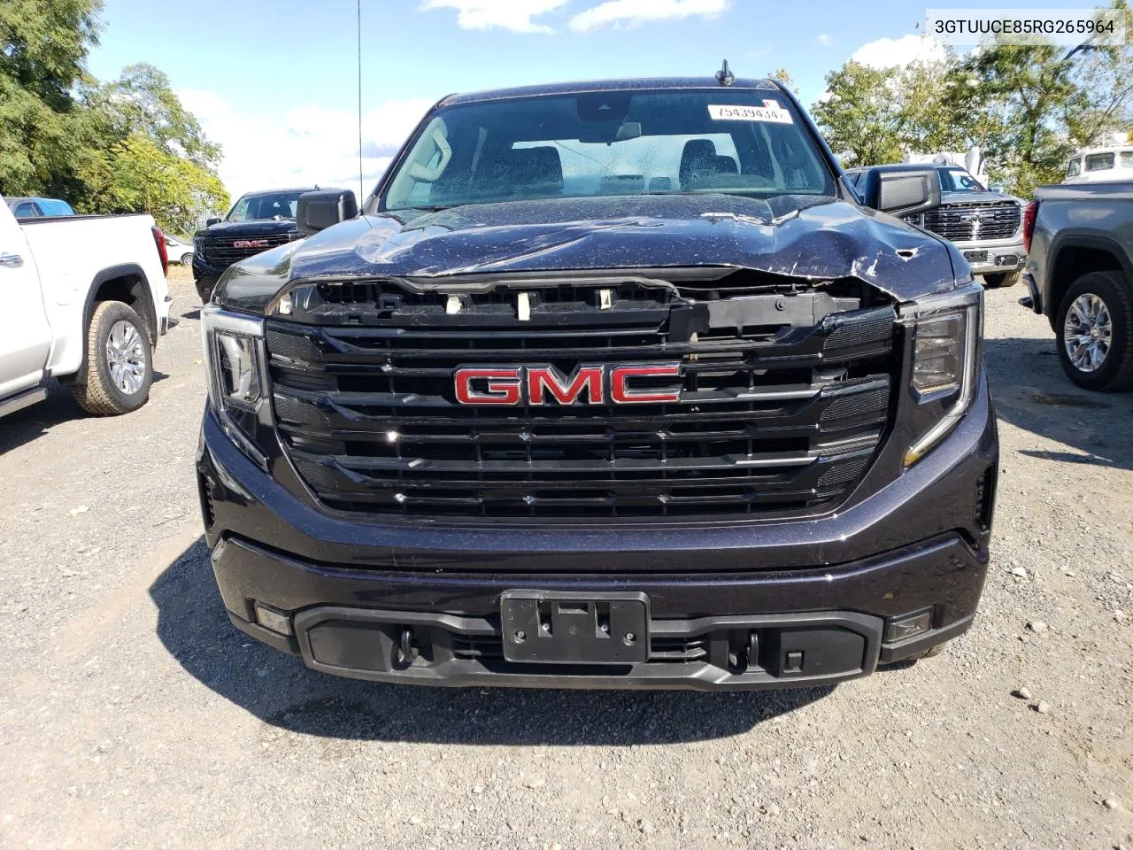 2024 GMC Sierra K1500 Elevation VIN: 3GTUUCE85RG265964 Lot: 75439434