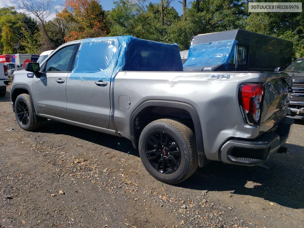 2024 GMC Sierra K1500 Elevation VIN: 3GTUUCE81RG265976 Lot: 75441184