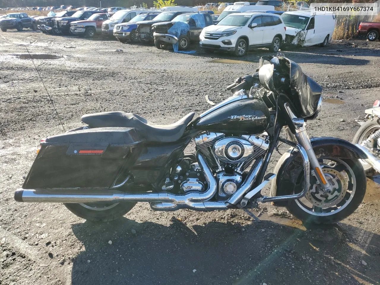 2009 Harley-Davidson Flhx VIN: 1HD1KB4169Y667374 Lot: 77812104