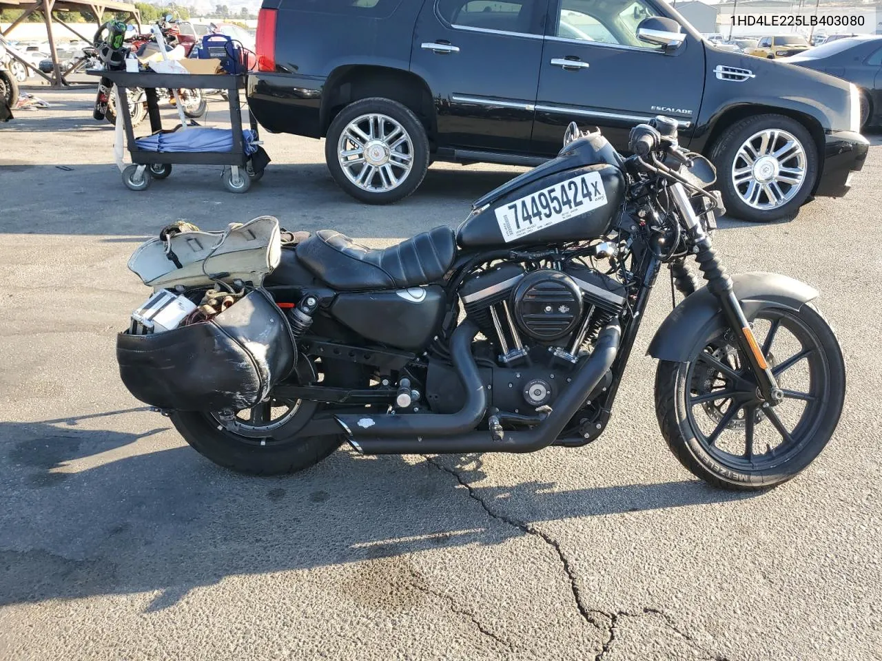 2020 Harley-Davidson Xl883 N VIN: 1HD4LE225LB403080 Lot: 74495424