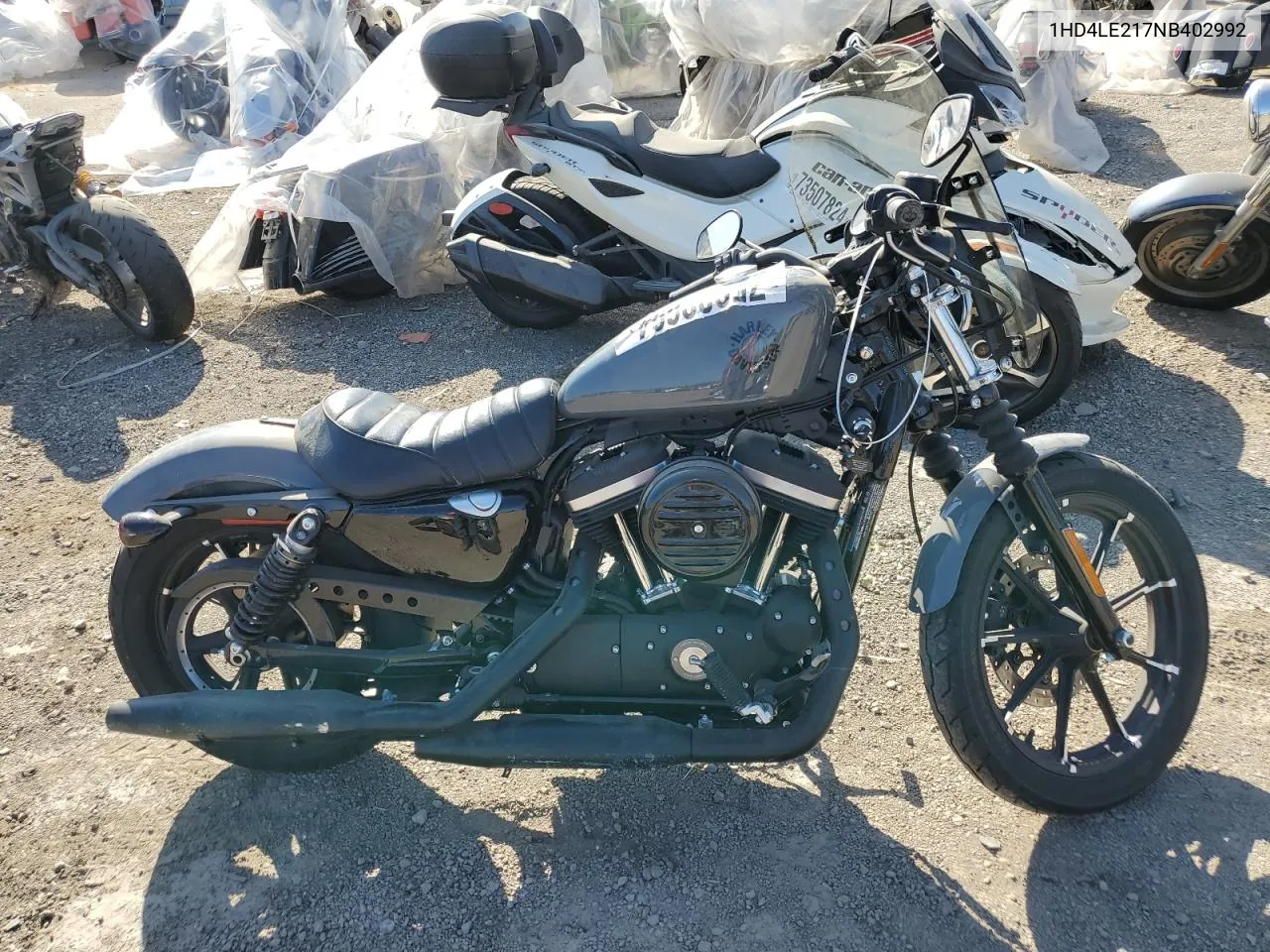 2022 Harley-Davidson Xl883 N VIN: 1HD4LE217NB402992 Lot: 75932694