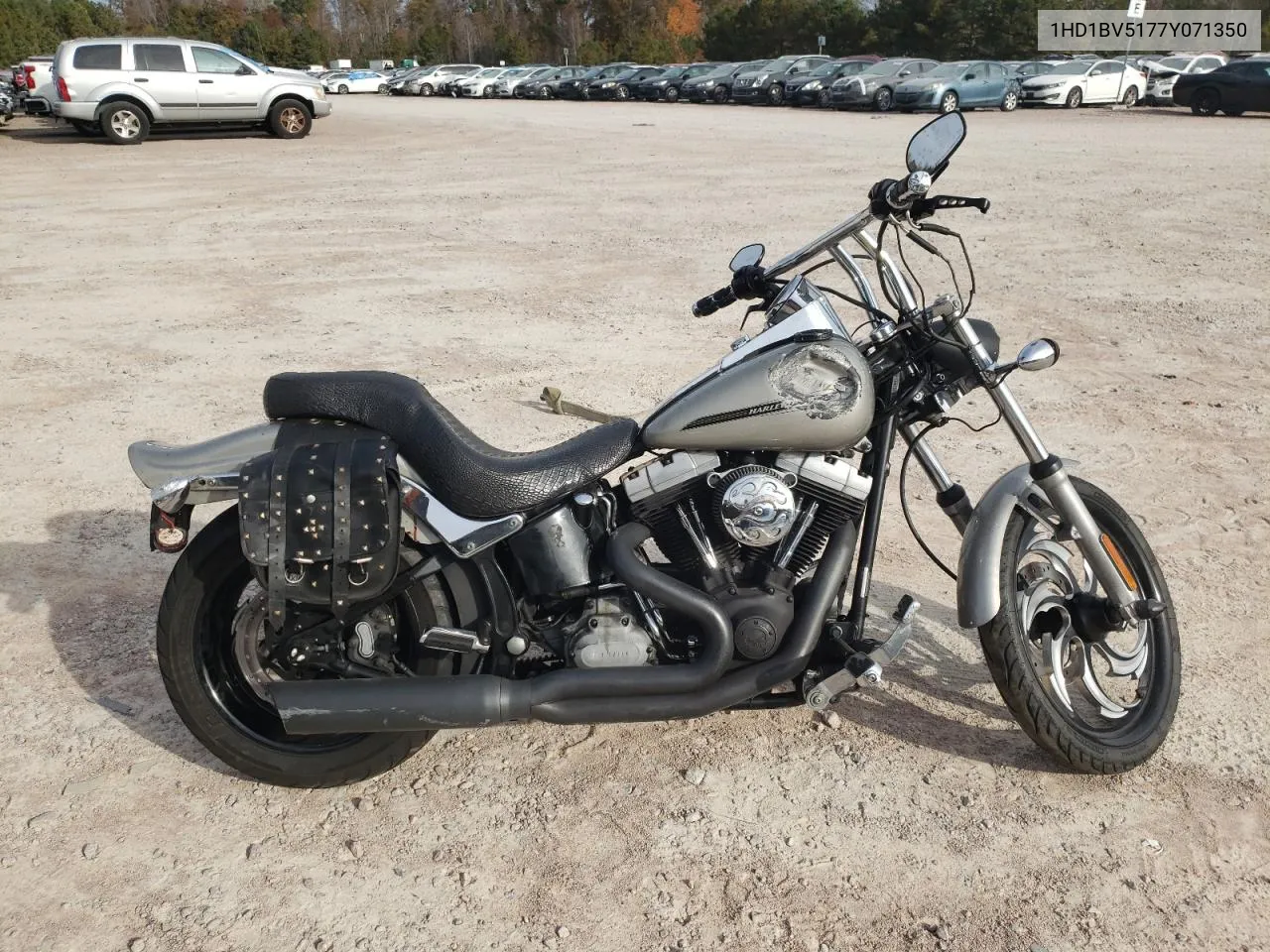 2007 Harley-Davidson Fxst VIN: 1HD1BV5177Y071350 Lot: 79223474