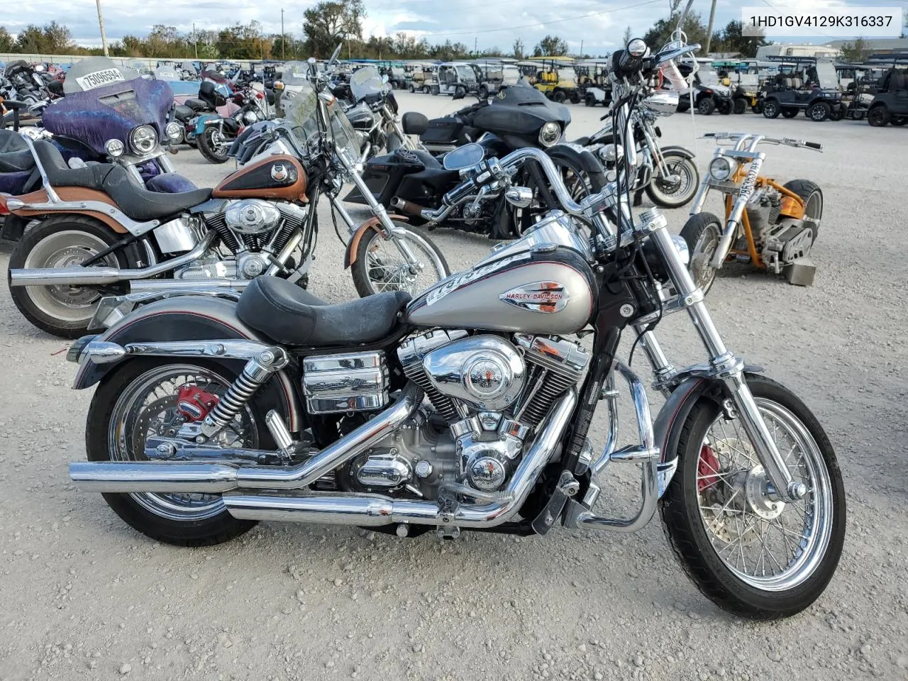 2009 Harley-Davidson Fxdc VIN: 1HD1GV4129K316337 Lot: 78757274