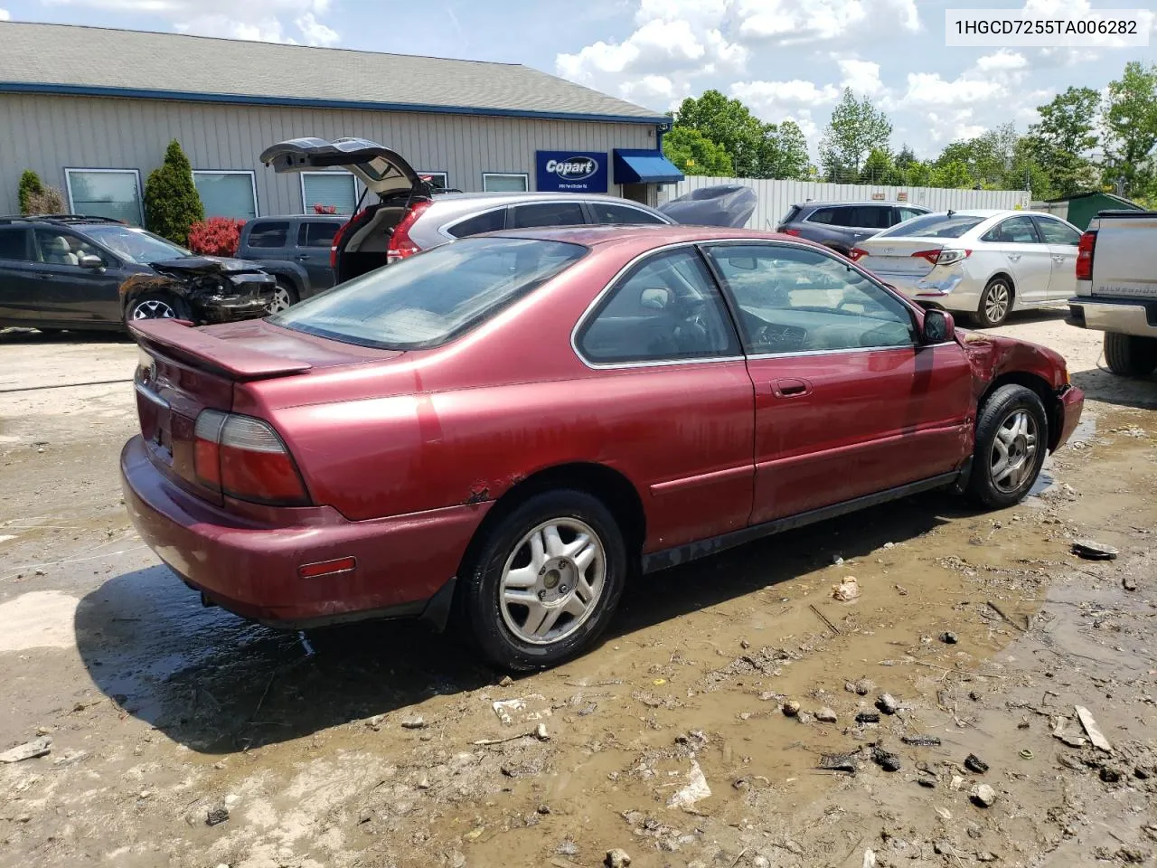 1996 Honda Accord Ex VIN: 1HGCD7255TA006282 Lot: 55190384