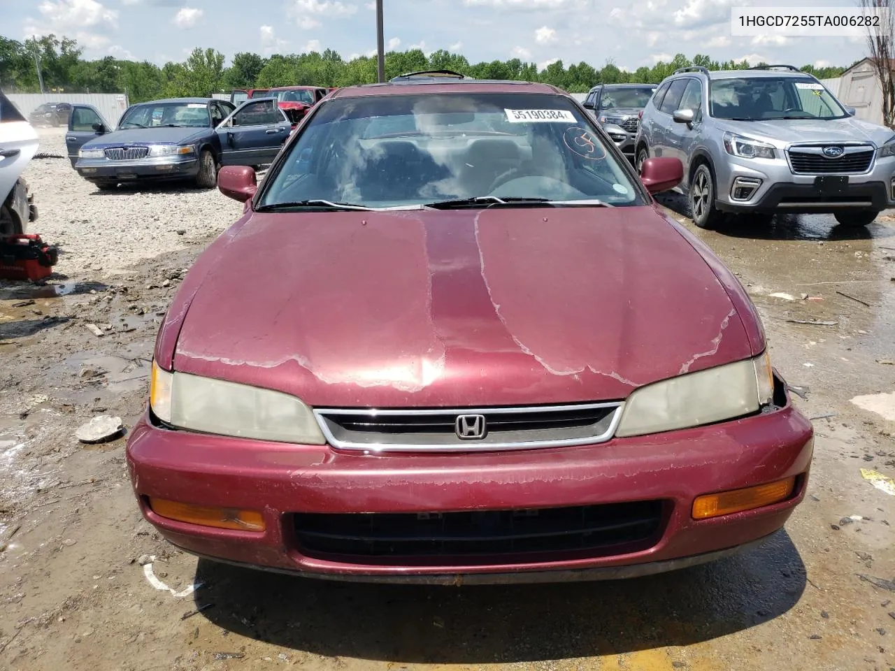 1996 Honda Accord Ex VIN: 1HGCD7255TA006282 Lot: 55190384